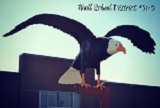 Eagle Statue Photo
